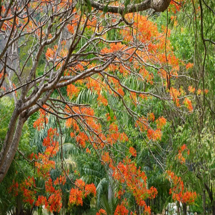 Páramo de Las Baldías