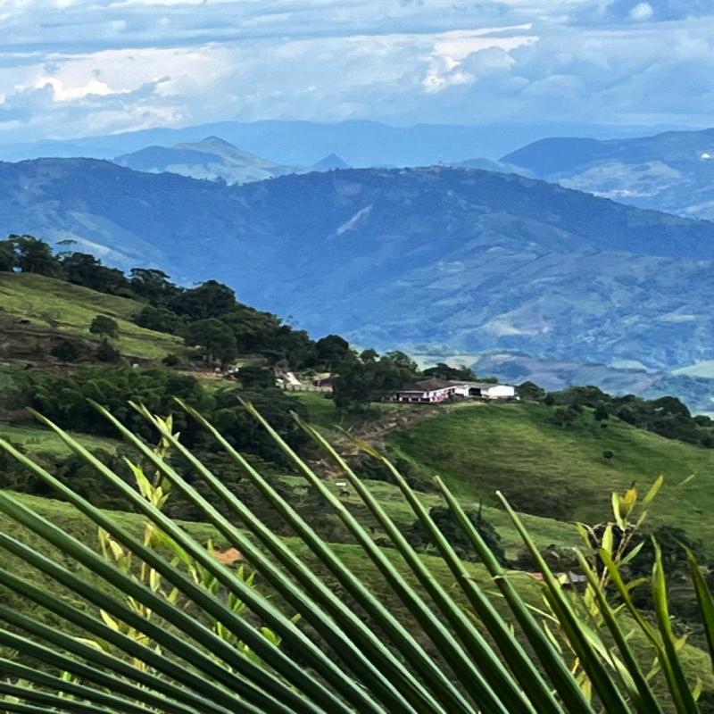 Paisajismo en Ebéjico