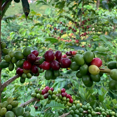 Destacado 1B