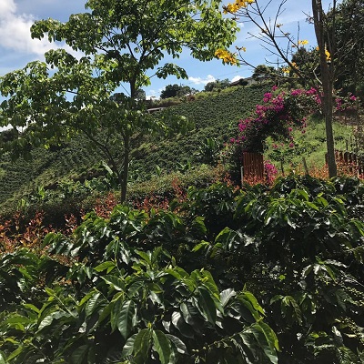 Destacado 1A