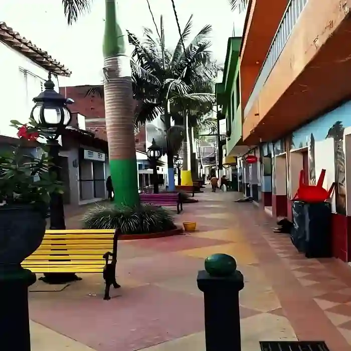 Planea tu visita - Imagen 2